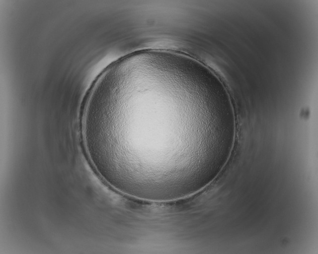 X0000112511087200908241414