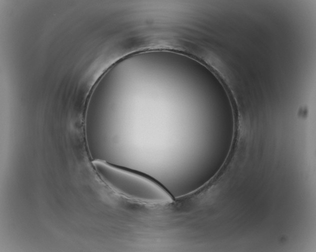 X0000112511089200908241414