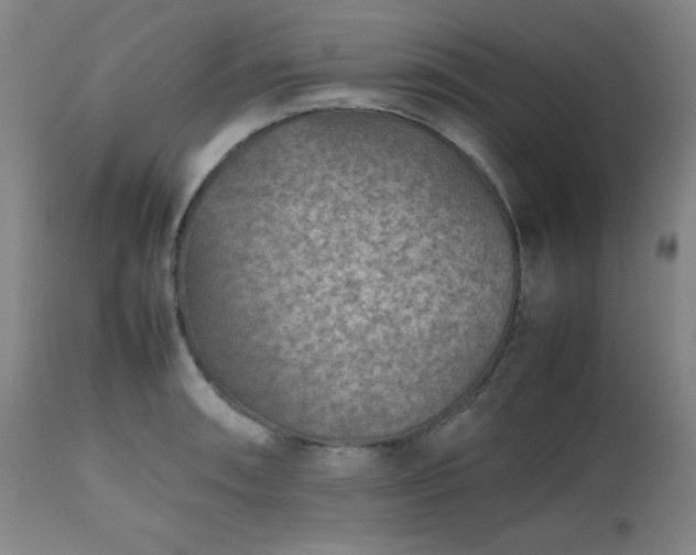 X0000112511090200908241414