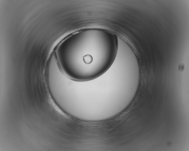 X0000112511092200908241414