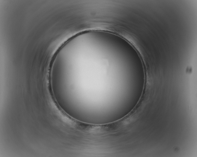 X0000112511093200908241414