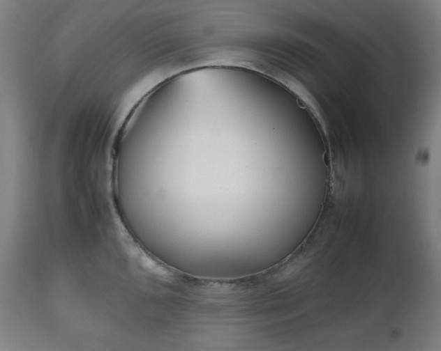 X0000112511096200908241414