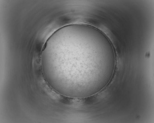 X0000112511097200908241414