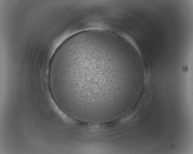 X0000112511099200908241414