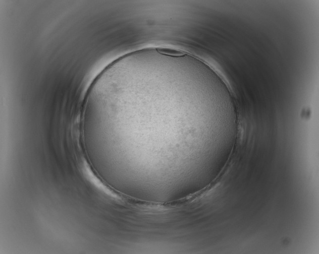 X0000112511100200908241414