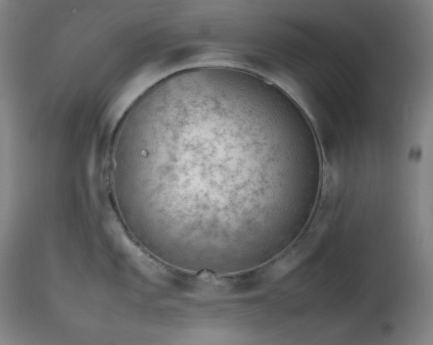 X0000112511101200908241414