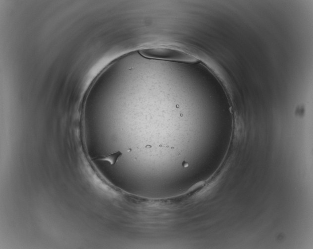 X0000112511102200908241414