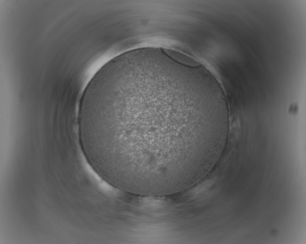 X0000112511103200908241414