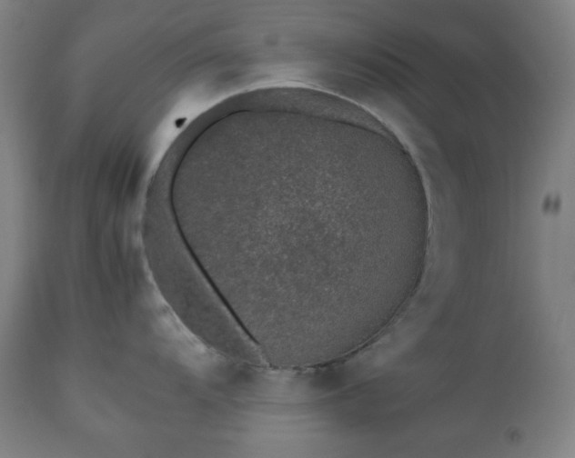 X0000112511104200908241413