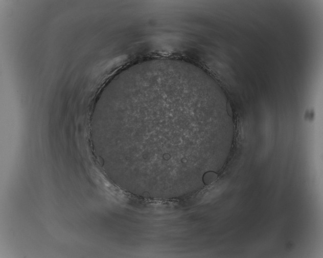 X0000112511105200908241413