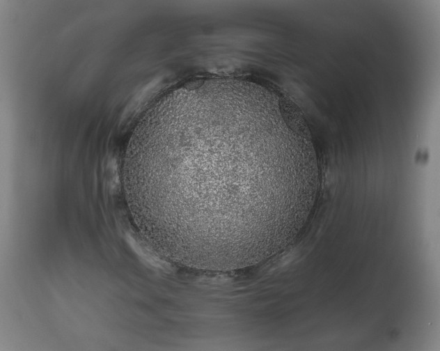 X0000112511106200908241413