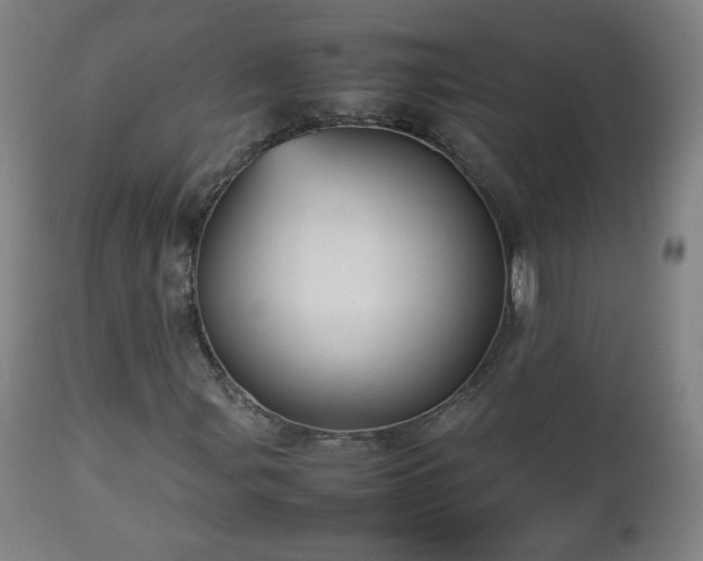 X0000112511107200908241413