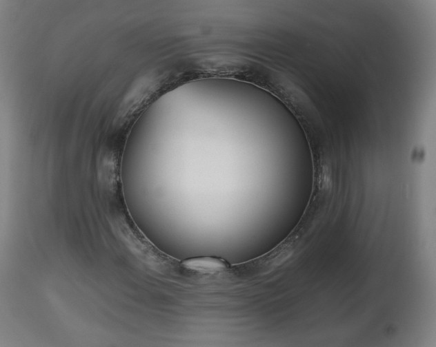 X0000112511108200908241413