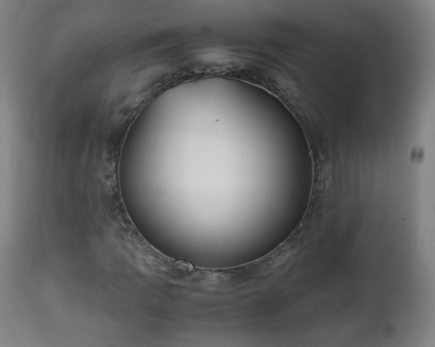 X0000112511109200908241413