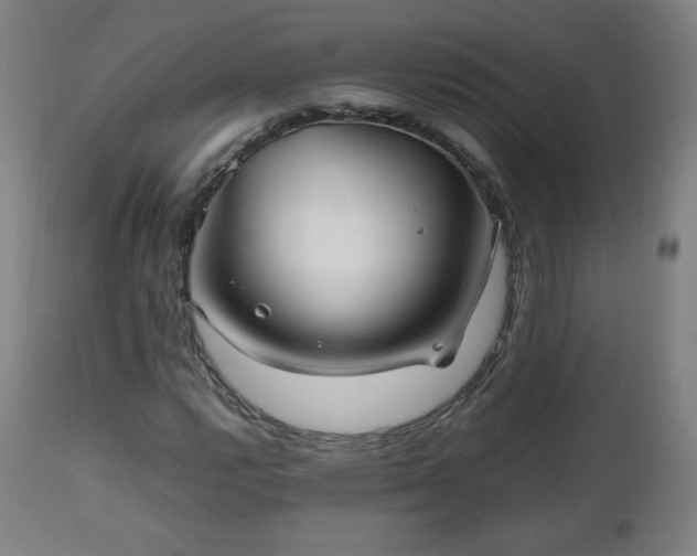 X0000112511112200908241413