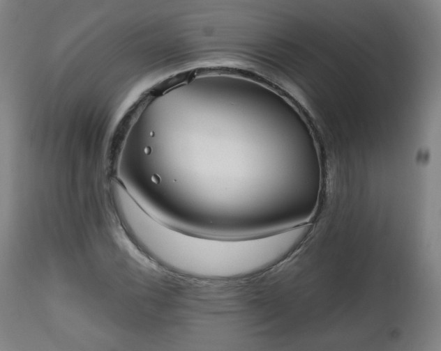 X0000112511116200908241413