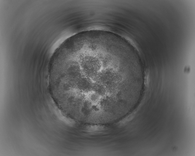 X0000112511117200908241413