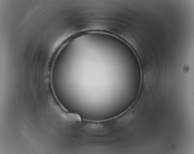 X0000112511119200908241413