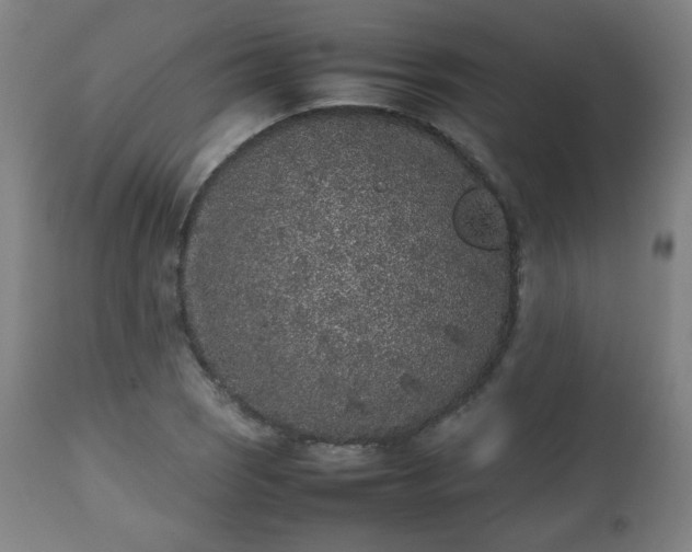 X0000112511121200908241413