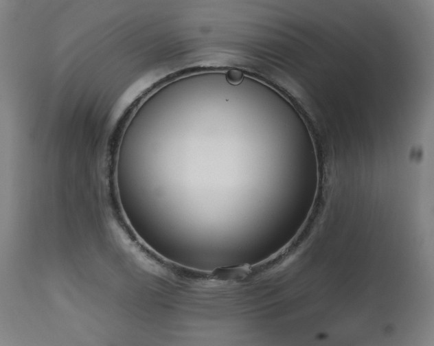 X0000112511122200908241413