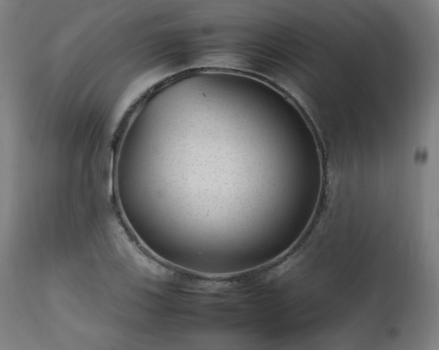 X0000112511123200908241413