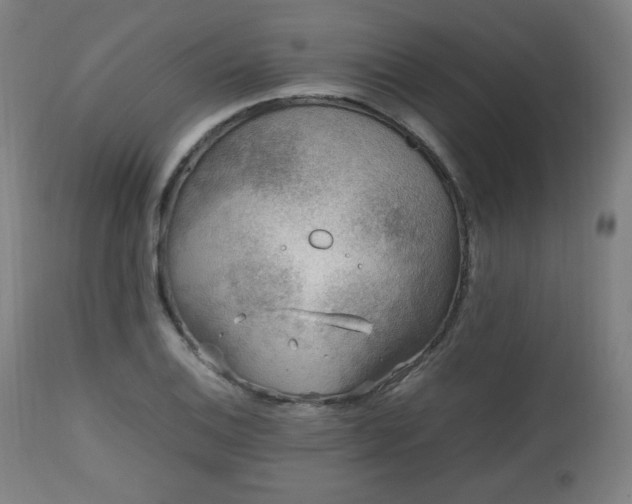 X0000112511124200908241413