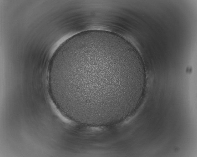 X0000112511125200908241413