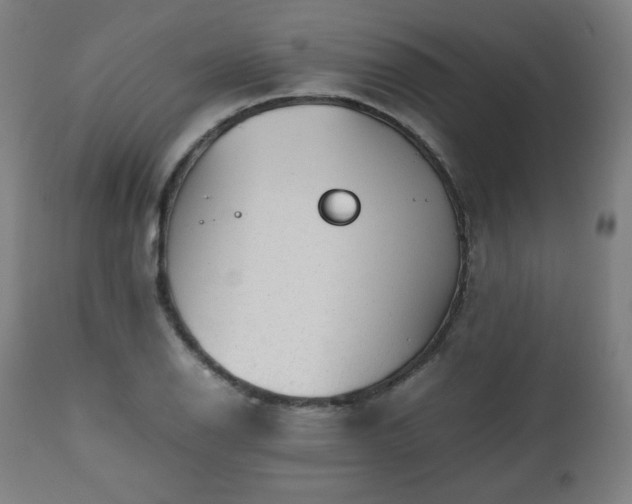 X0000112511126200908241413