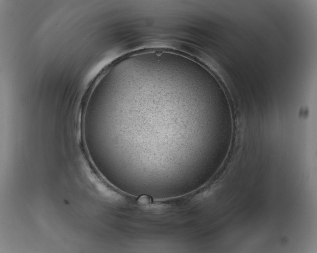 X0000112511127200908241413