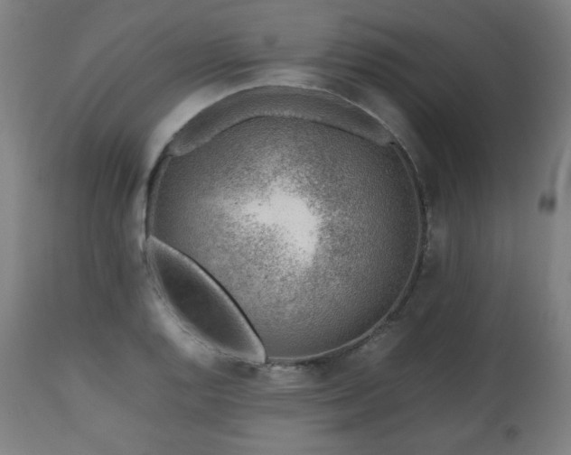 X0000112511128200908241413