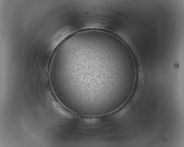 X0000112511129200908241413