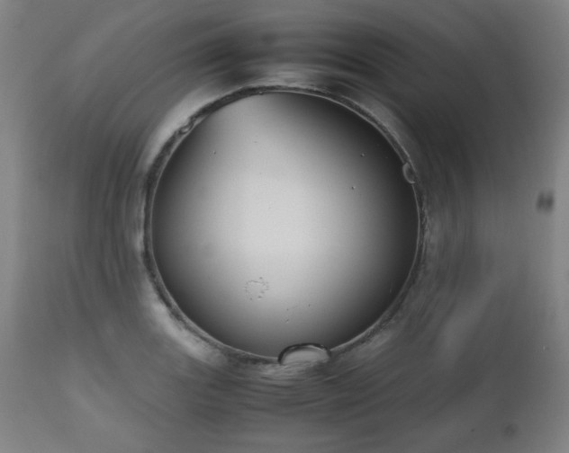 X0000112511131200908241413