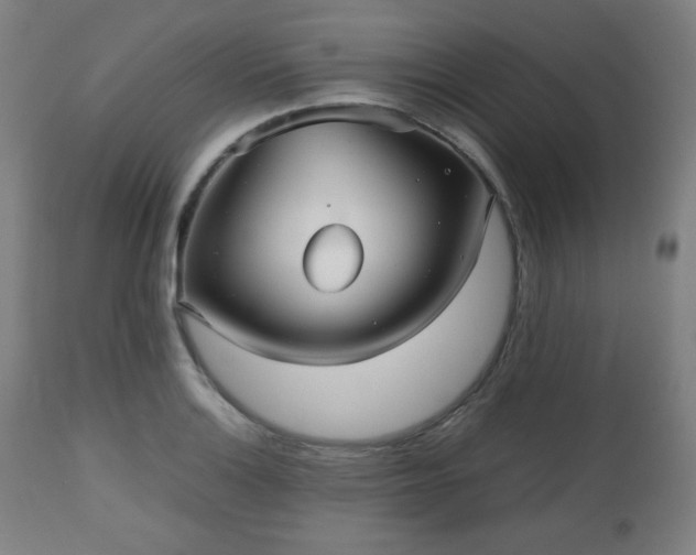 X0000112511132200908241413