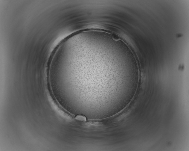 X0000112511133200908241413