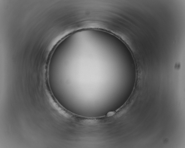 X0000112511134200908241413