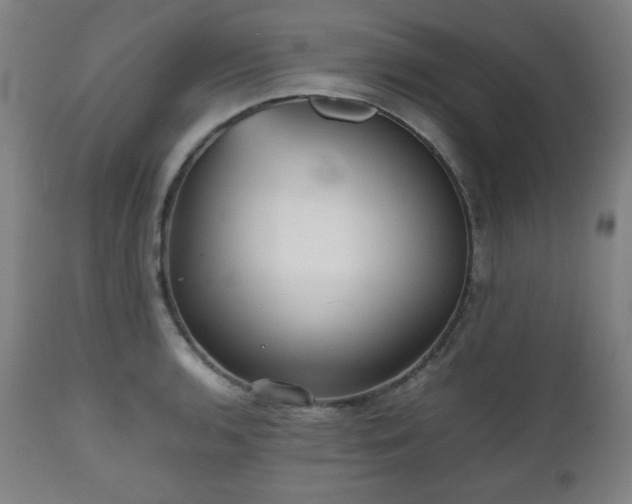 X0000112511136200908241413