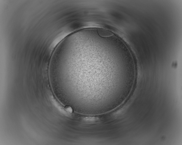 X0000112511137200908241413