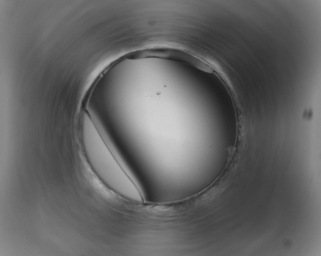 X0000112511140200908241413