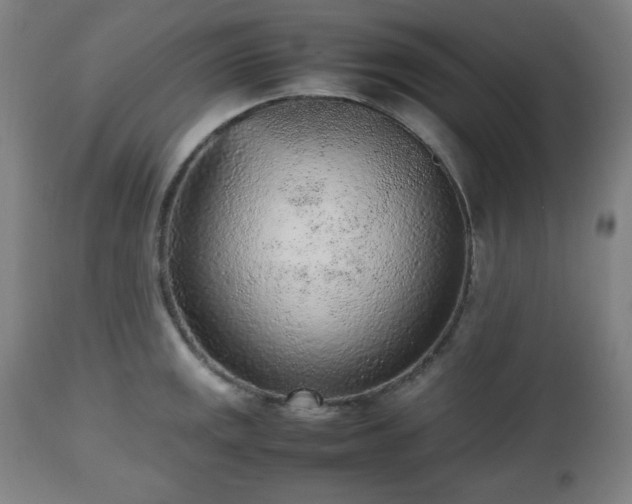 X0000112511141200908241413