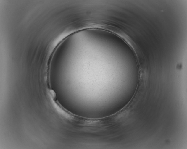 X0000112511143200908241413