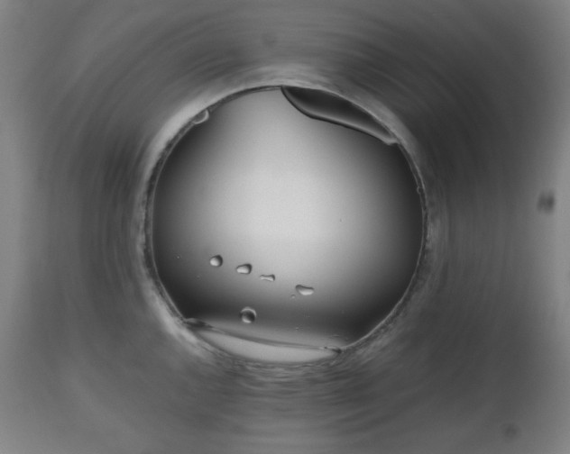 X0000112511144200908241413