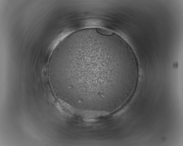 X0000112511145200908241413