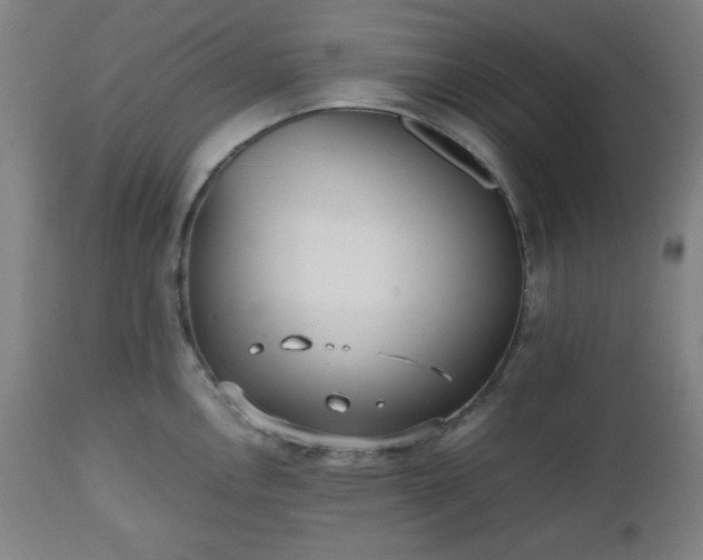 X0000112511146200908241413