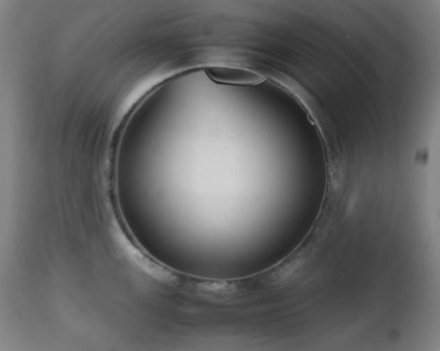 X0000112511147200908241413