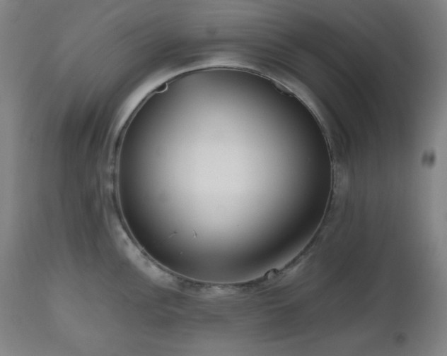 X0000112511148200908241413