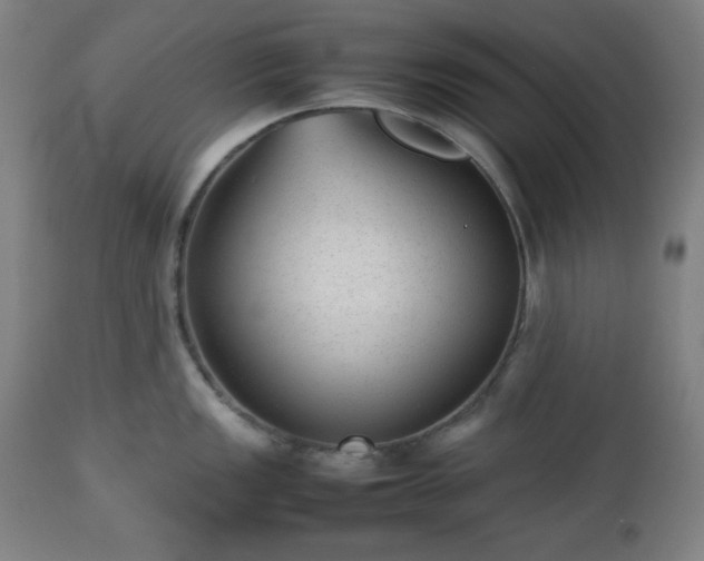 X0000112511149200908241413