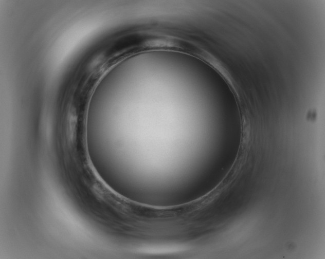 X0000112511151200908241413