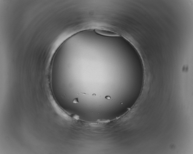 X0000112511152200908241413