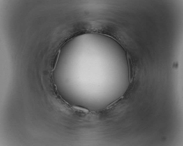 X0000112511153200908241413