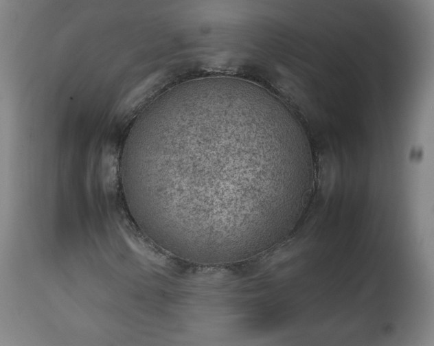 X0000112511154200908241413